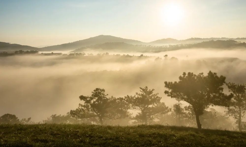 da-lat-in-december-cloud-hunting-sunflowers-festivals